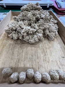 椋木鍼灸院