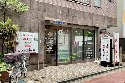 上田鍼灸整骨院 ひばりが丘駅店