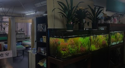 細谷接骨院