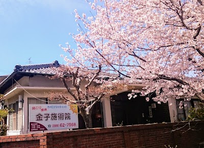 金子施術院