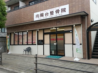 向陽台整骨院