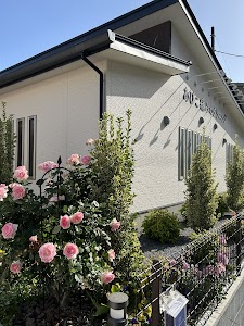 あびこ痛みのクリニック