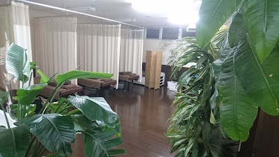 ホネドック 接骨院