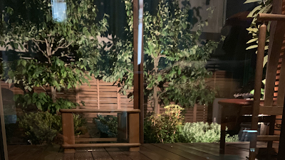 リラクゼーションもーみもみ