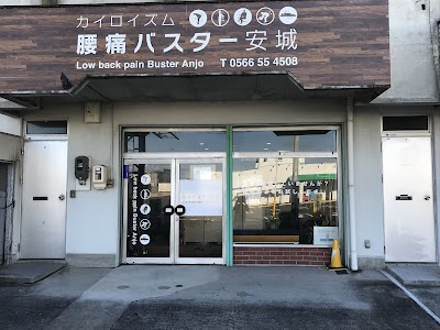カイロイズム 腰痛バスター安城