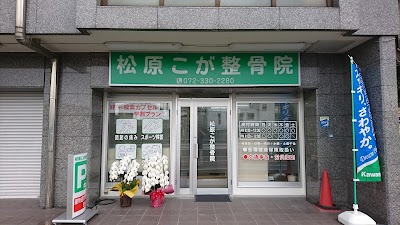 松原こが整骨院