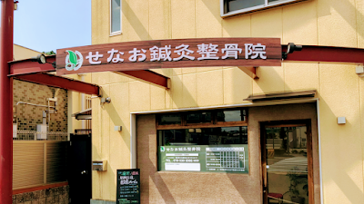 せなお鍼灸整骨院