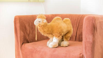 動坂らくーだ整骨院 鍼灸マッサージ整体院
