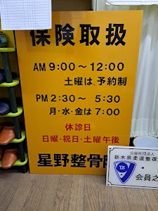 星野整骨院