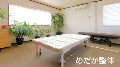 めだか整体