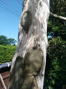 三反田按摩鍼灸院