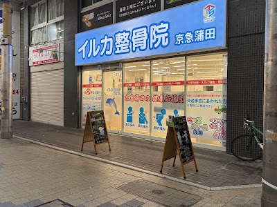 イルカ整骨院 京急蒲田