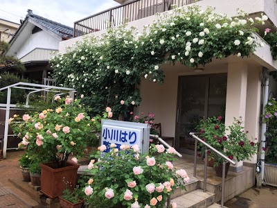 小川鍼・整骨院