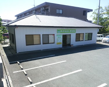 めがねばし整骨院