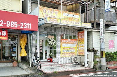 はるかぜ整骨院