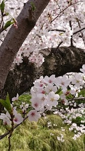 かたの鍼灸整骨院