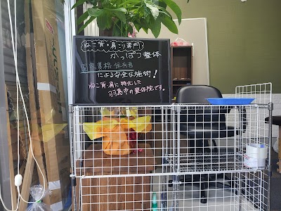 かっぱつ整体院