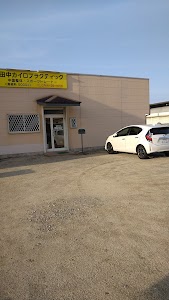 田中カイロプラクティック