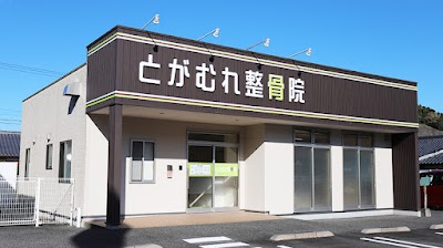 とがむれ整骨院
