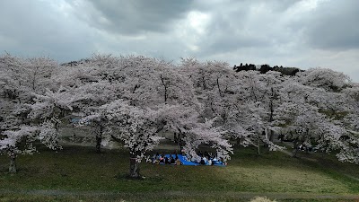 しちがはま接骨院