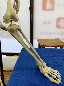 ニュートラル からだの整備工場