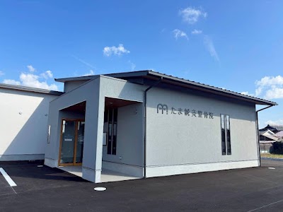 たま鍼灸整骨院