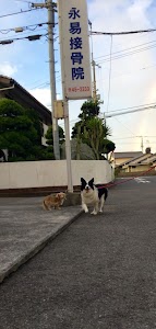 永易はり灸接骨院