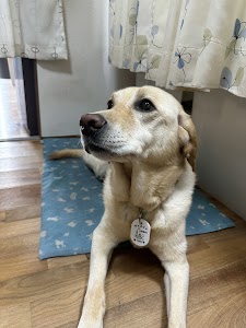 年藤鍼灸院
