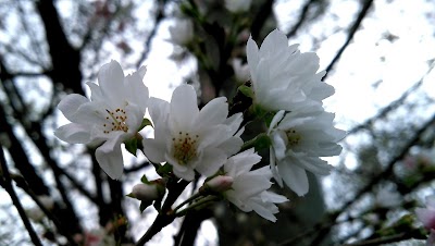 かんな接骨院
