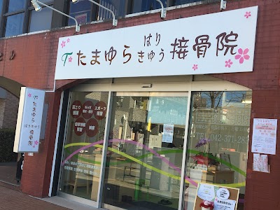 たまゆら はりきゅう接骨院