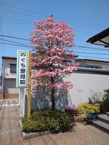 のぐち整骨院
