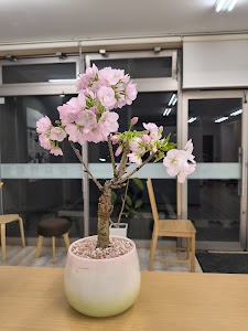福岡メディカル整骨院