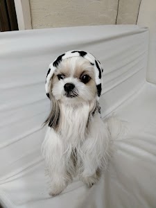 アニマルケアセンター うすき動物病院