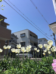 近藤接骨院・整体院