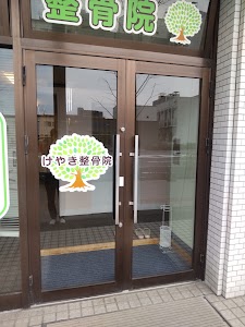 新潟市けやき整骨院