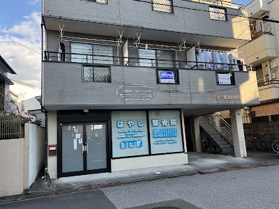 はやし整骨院