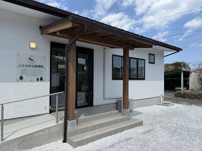 ととろまち整骨院