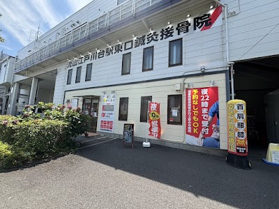 流山江戸川台駅東口鍼灸接骨院