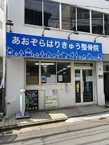 あおぞらはりきゅう整骨院