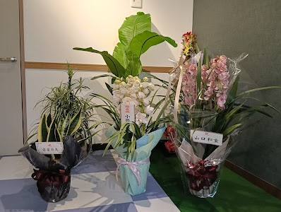 やまや鍼灸接骨院