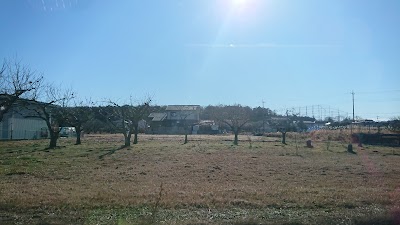 大河原接骨院