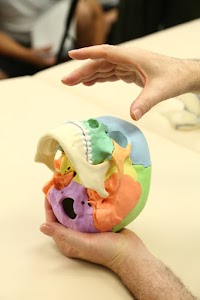 悠OSTEOPATHY CENTER