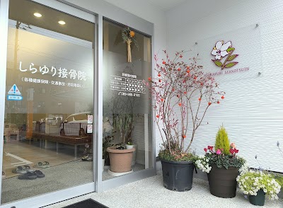 しらゆり接骨院