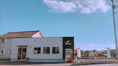 整骨院 ホワイトガーベラ
