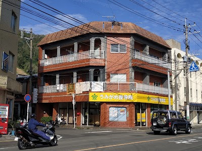 うみがめ整骨院